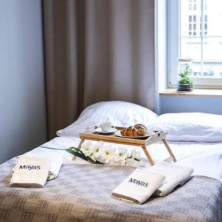 Maya's Flats & 40 - Kolodziejska Old Town グダニスク